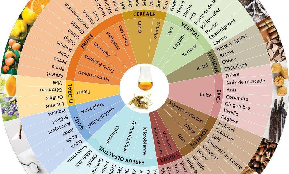 Vin Et Francais Taste wine and speak French from scratch